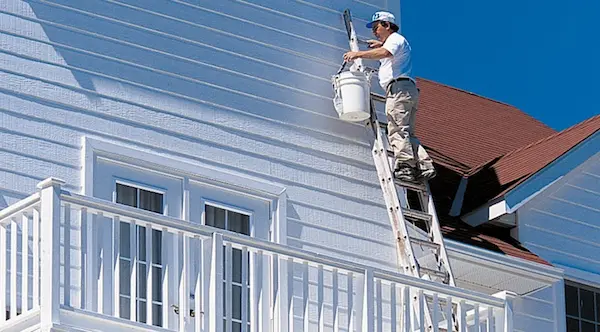 Orlando Painters