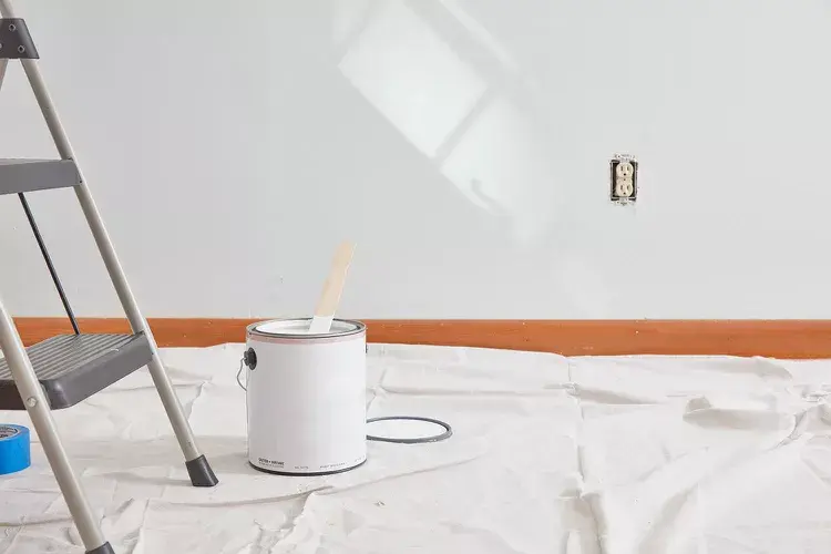 Orlando Painters